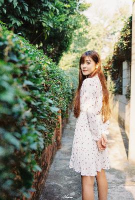 免费观看樱花电影大全？这些数字电影你不能错过！